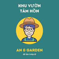 antruong.net