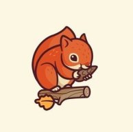 chipmunk.team