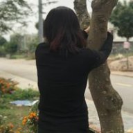 Hằng nguyễn 123