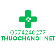 thuochanoi