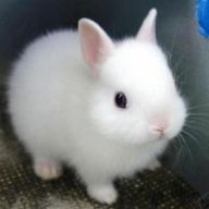 1 bé Thần Nông cute