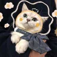 Nieluvmatcha