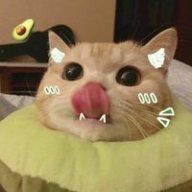 yakii