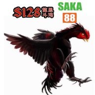 S128SAKA88