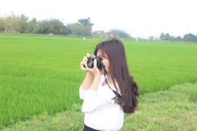 Bồ câu trắng