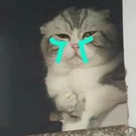 Huy_Vu