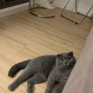 Boobeo