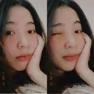 hoaingocne11111