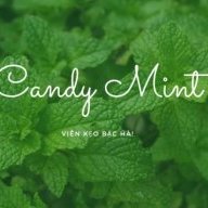Viên kẹo bạc hà