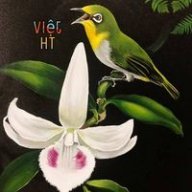 Viet983