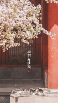 Cao Hoa