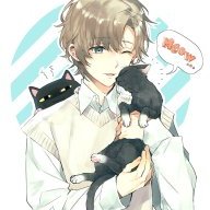 Thịnh Thông Thái