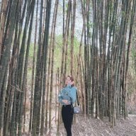 TNTHUY2010