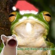 Anh275349