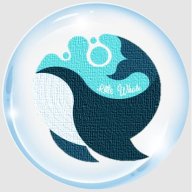 littlewhale1111