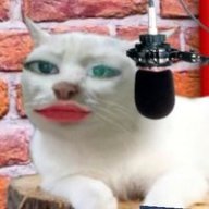 hathanhnnnnnnnnn