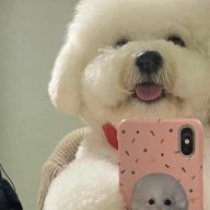 boo1204