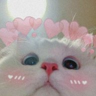 yaoyaodayyy