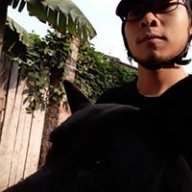 ain.dongocanh