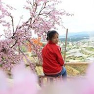 Tam Hoa