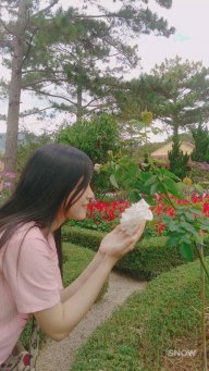 Hoa Ngưng Tuyết