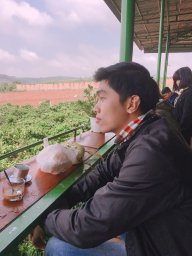 Cọ mập