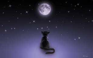 Mèo Đinh