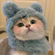 Đưn Từn