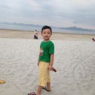 tranhuyquang30012345