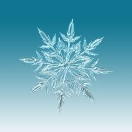 Boss Winter Kingdom
