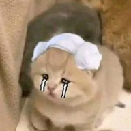 Phạm Thiên Thiên