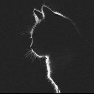 catcat123