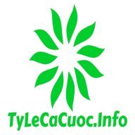 tylecacuocinfo