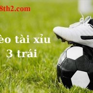 w88th2com3