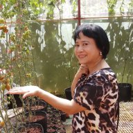 VÕ NHUNG