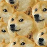 hà thị thanh hằng