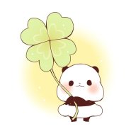 Gấu 123