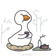 Duckkk