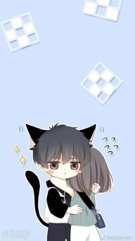 veovv