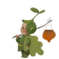 Caixanhne