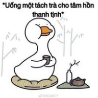 Ydinh