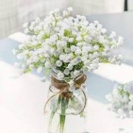 Linh6974