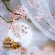 Cốt Nguyệt Ánh