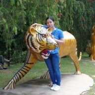 Tuyền heo