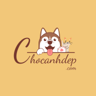 chocanhdepcom