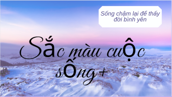 kimngan1482004