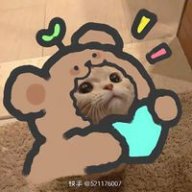 Linhlinh11