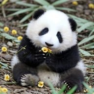 cô gái tự ti