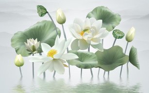 Bùi Hữu Lợi