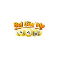 soicauviporg